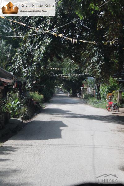 Residential Lot for sale in Compostela