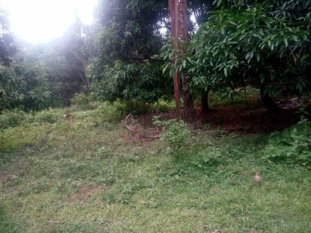 Land and Farm for sale in Batangas City