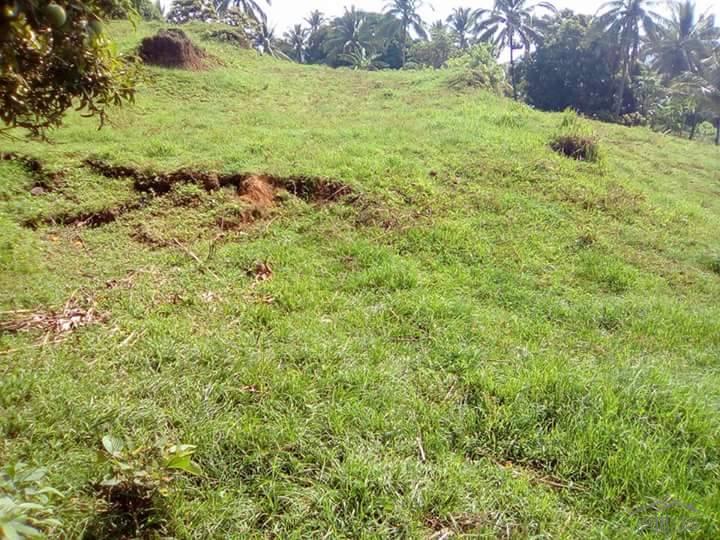 Land and Farm for sale in Balete - image 2