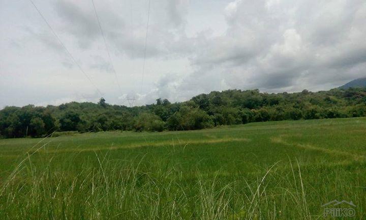 Land and Farm for sale in Masinloc - image 2