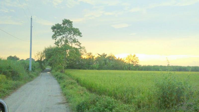 Land and Farm for sale in Victoria - image 2