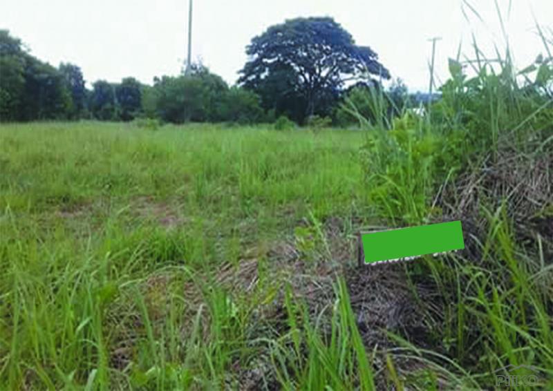 Commercial Lot for sale in San Rafael - image 2