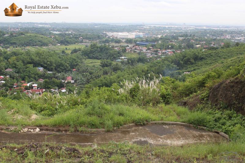 Residential Lot for sale in Consolacion - image 2