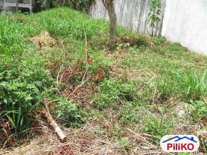 Residential Lot for sale in Cainta in Rizal