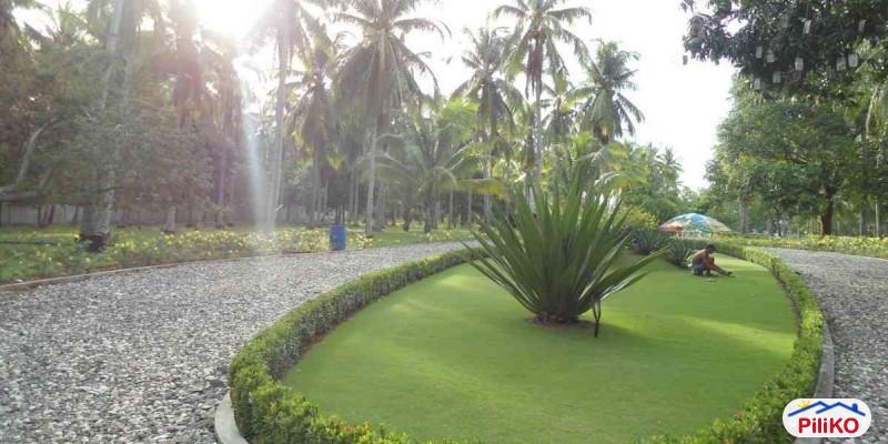 Residential Lot for sale in Cebu City in Cebu