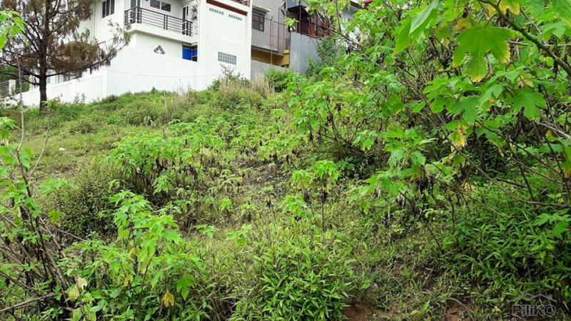 Residential Lot for sale in Baguio - image 3