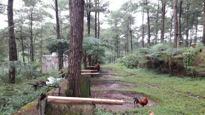 Residential Lot for sale in Baguio - image 3