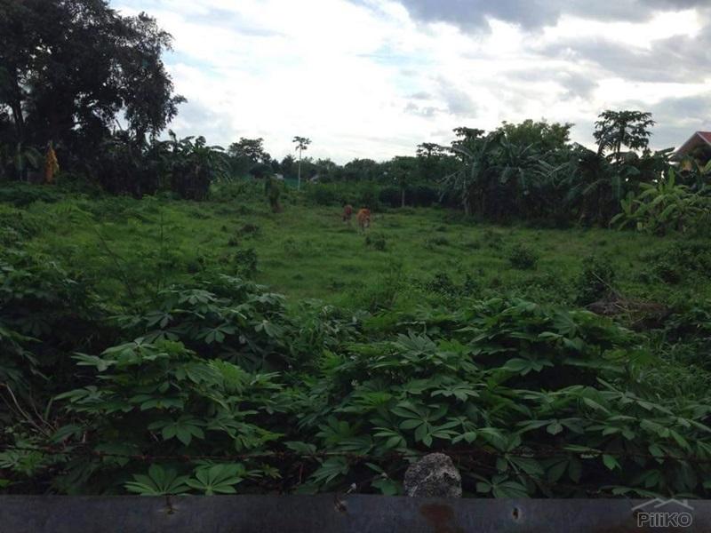 Residential Lot for sale in Talisay - image 3