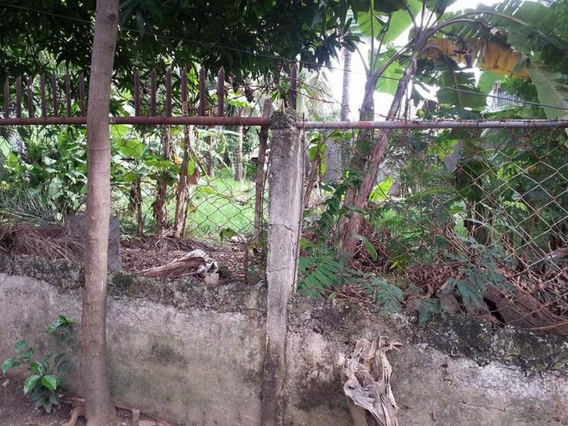 Residential Lot for sale in Lapu Lapu in Cebu