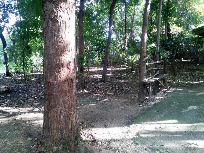 Residential Lot for sale in Lapu Lapu in Cebu