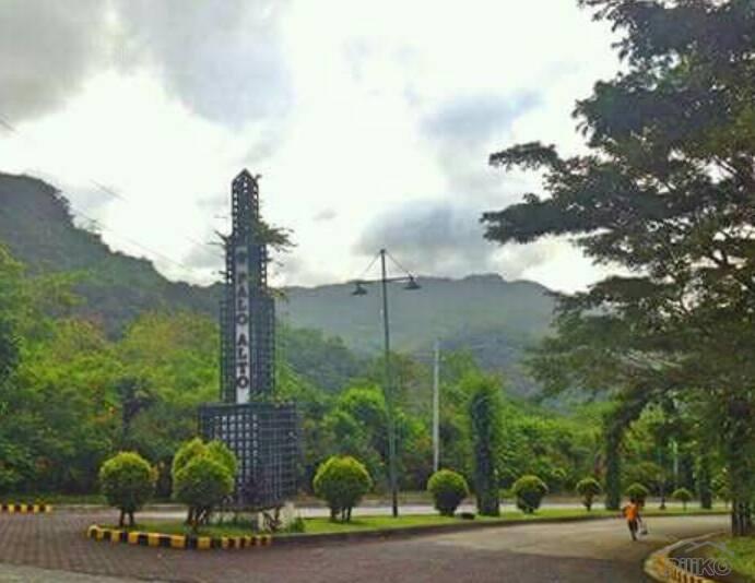 Residential Lot for sale in Baras - image 3