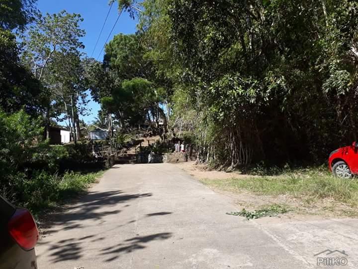 Agricultural Lot for sale in Dauin in Negros Oriental