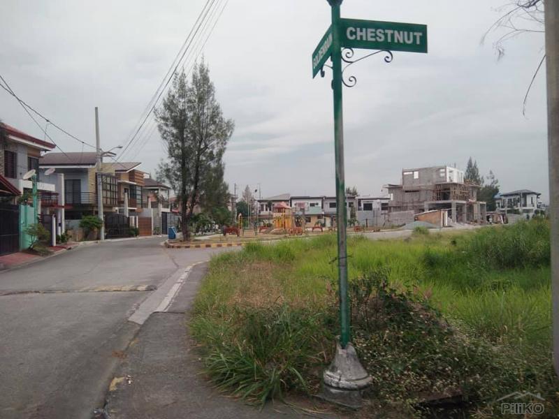 Residential Lot for sale in Pasig - image 3