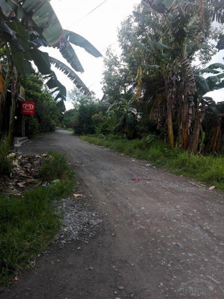 2 bedroom House and Lot for sale in Tagum in Davao del Norte