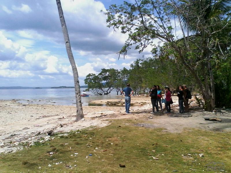 Residential Lot for sale in Island Garden City of Samal - image 3