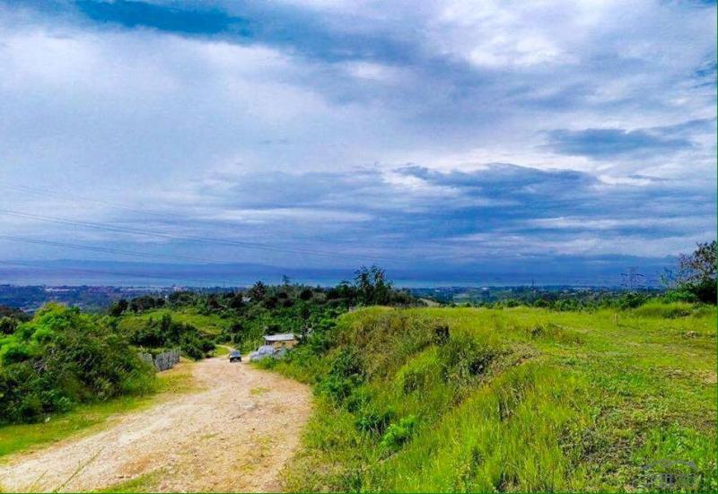 Residential Lot for sale in Minglanilla in Cebu