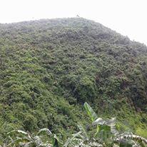 Residential Lot for sale in Cebu City - image 3