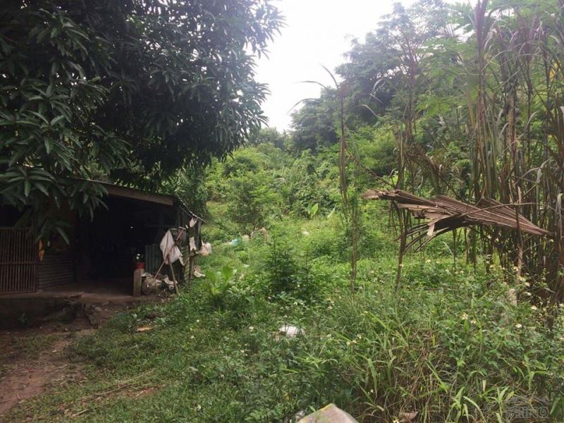 Lot for sale in Consolacion in Cebu