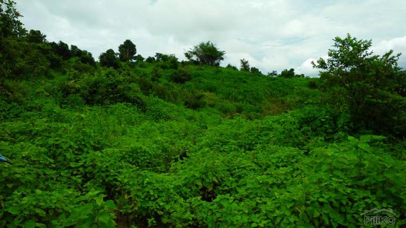 Land and Farm for sale in Cabangan - image 3