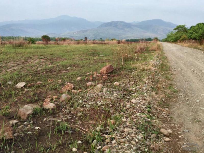 Land and Farm for sale in Iba in Zambales