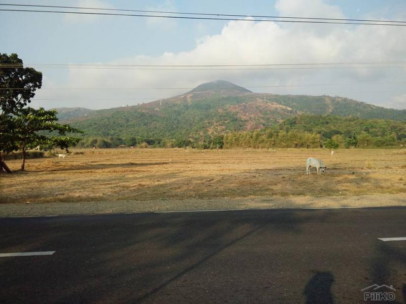 Land and Farm for sale in Botolan in Zambales