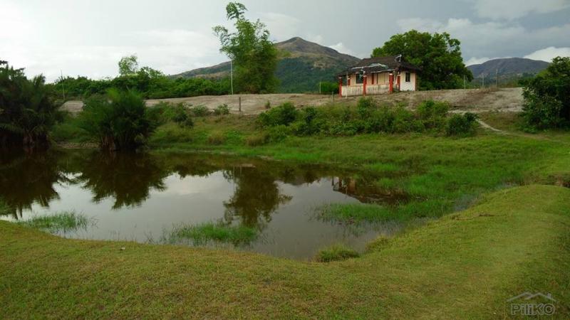 Other property for sale in Cabangan - image 3