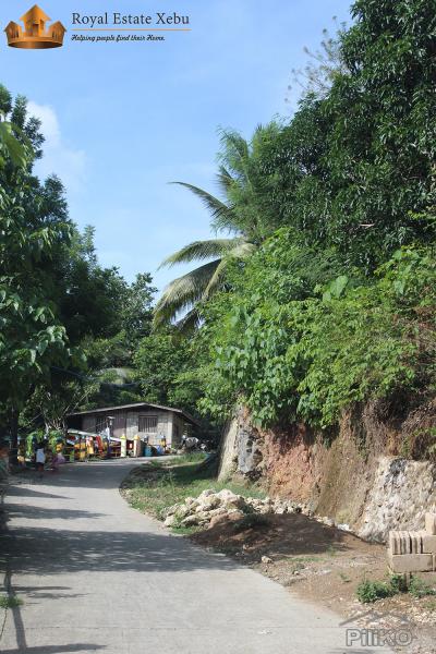 Residential Lot for sale in Compostela in Cebu
