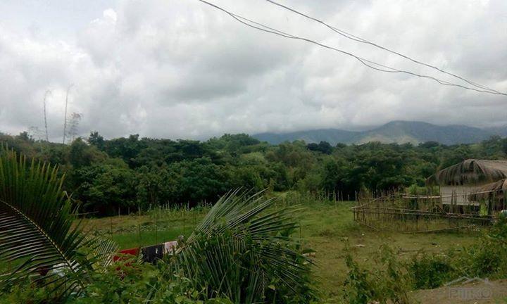 Land and Farm for sale in Masinloc - image 3