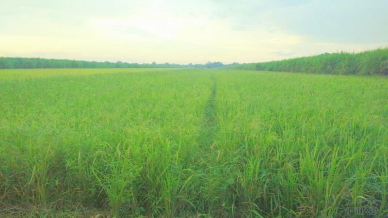 Land and Farm for sale in Victoria - image 3
