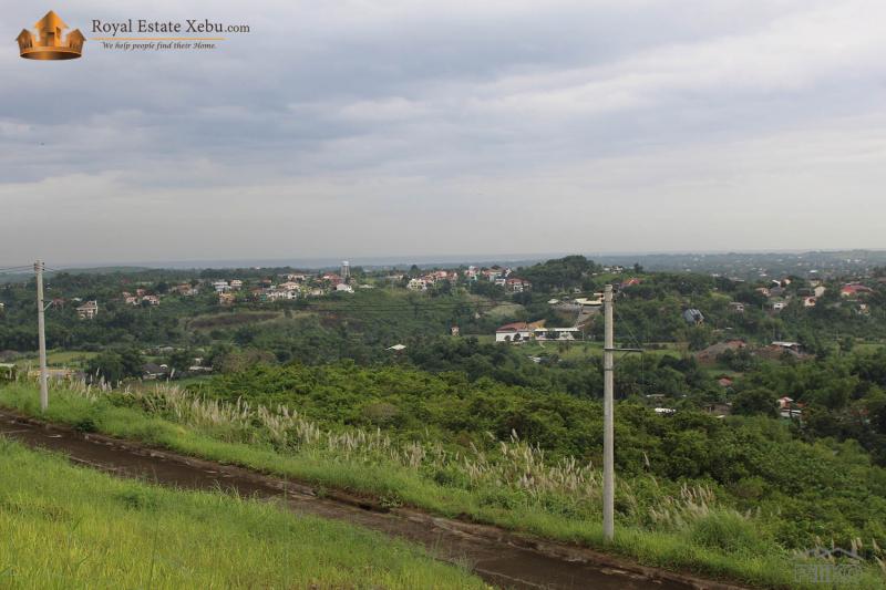 Residential Lot for sale in Consolacion - image 3