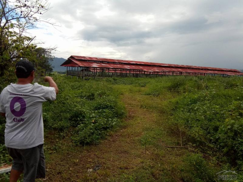 Land and Farm for sale in San Jose 458340 Photo 3