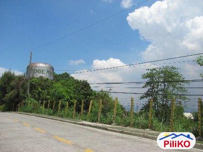 Residential Lot for sale in Cainta - image 4