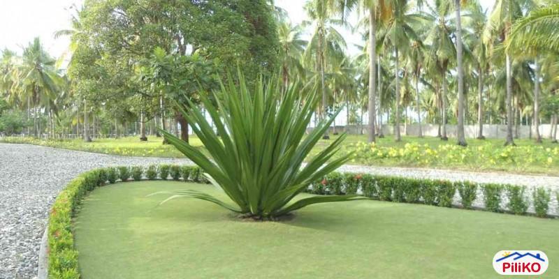 Residential Lot for sale in Cebu City in Philippines