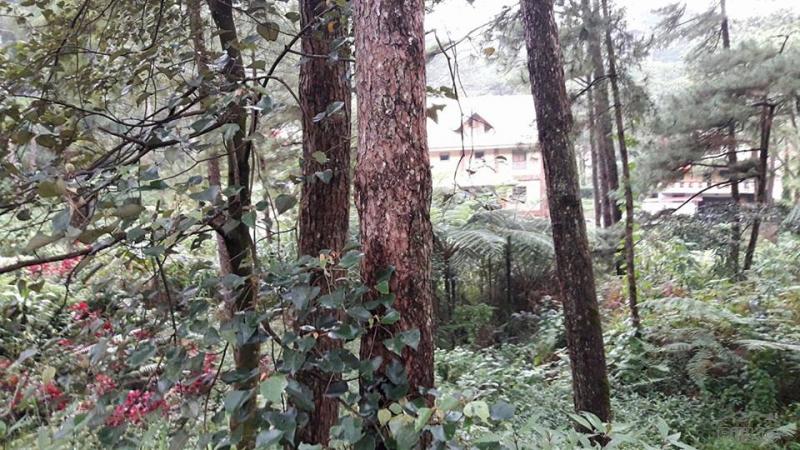 Residential Lot for sale in Baguio in Philippines