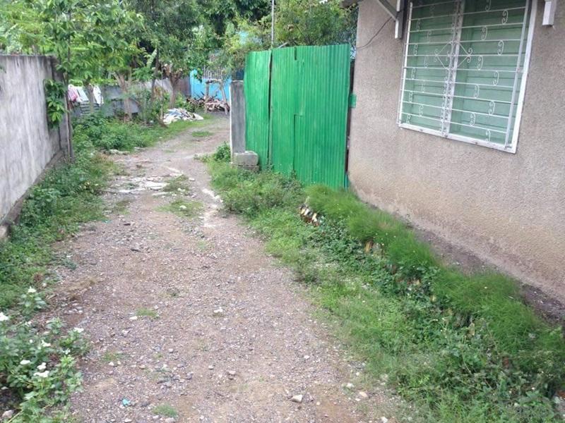 Residential Lot for sale in Talisay - image 4