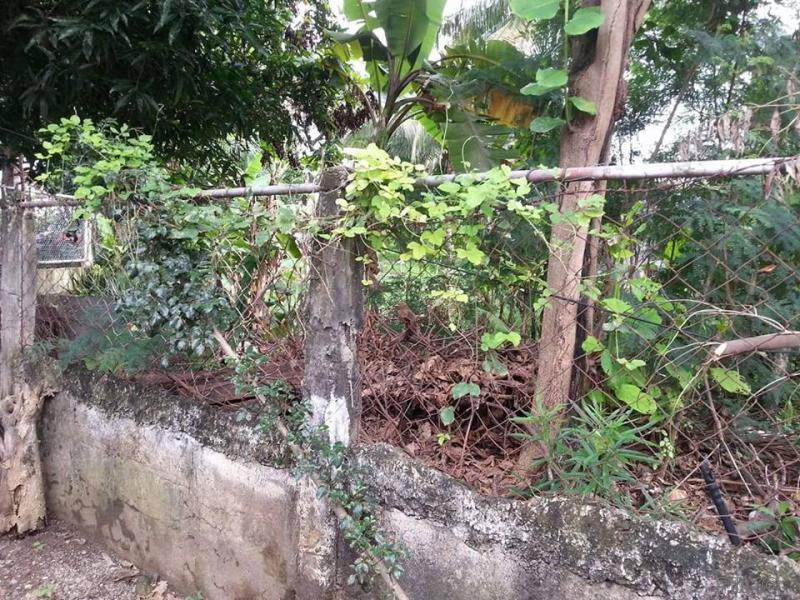 Residential Lot for sale in Lapu Lapu in Philippines