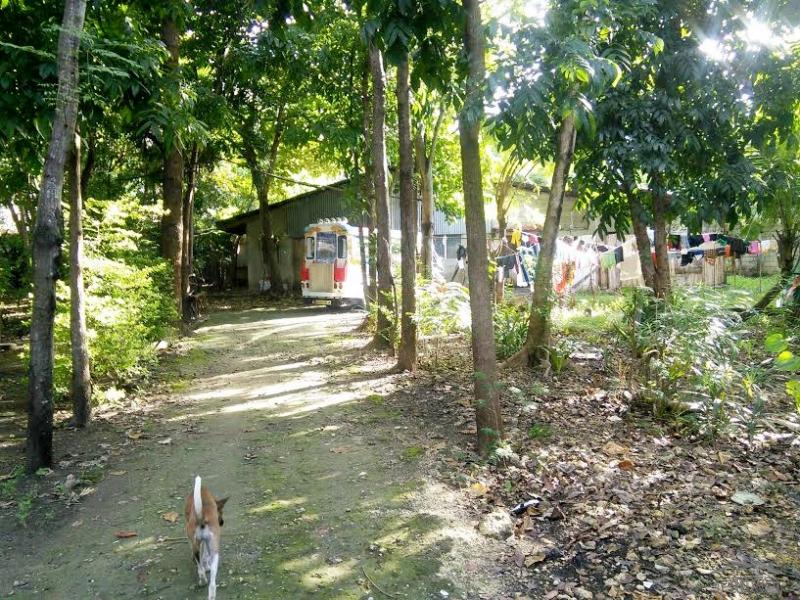 Residential Lot for sale in Lapu Lapu in Philippines