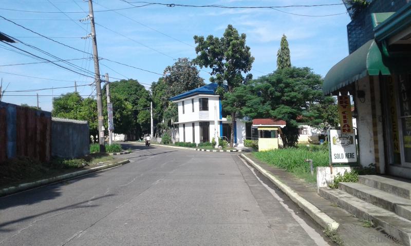 Residential Lot for sale in Cainta - image 4