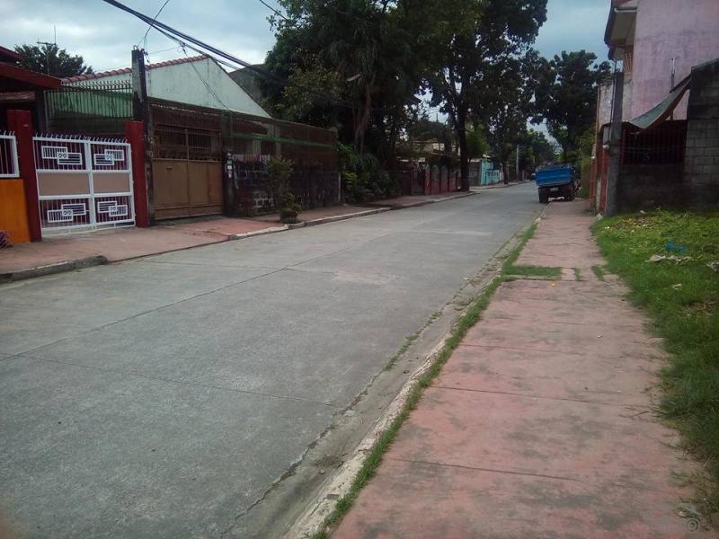 4 bedroom House and Lot for sale in Marikina in Philippines