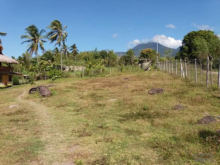 2 bedroom House and Lot for sale in Dauin in Philippines