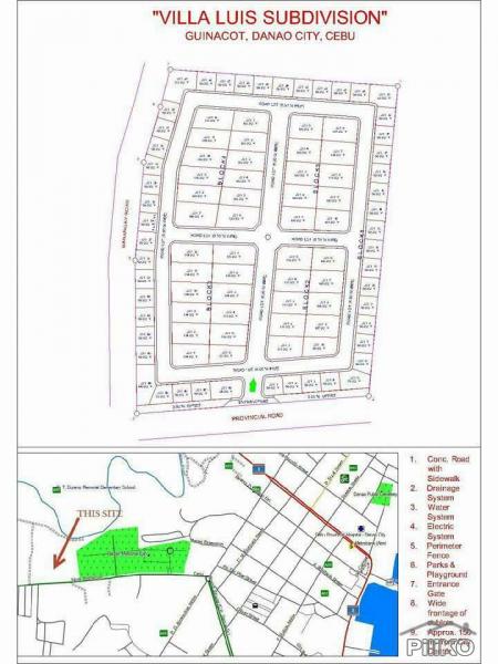 Residential Lot for sale in Danao - image 4