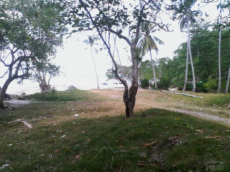 Residential Lot for sale in Island Garden City of Samal - image 4