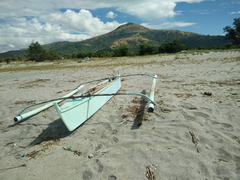 Other lots for sale in Cabangan in Philippines