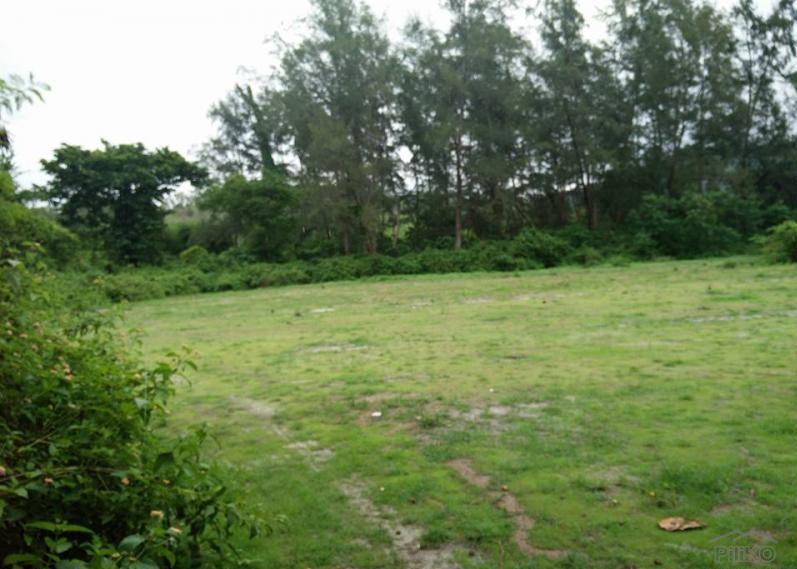 Land and Farm for sale in Cabangan - image 4