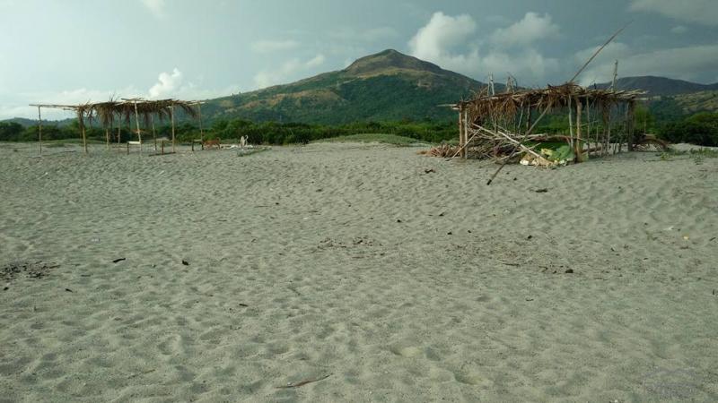 Other property for sale in Cabangan - image 4