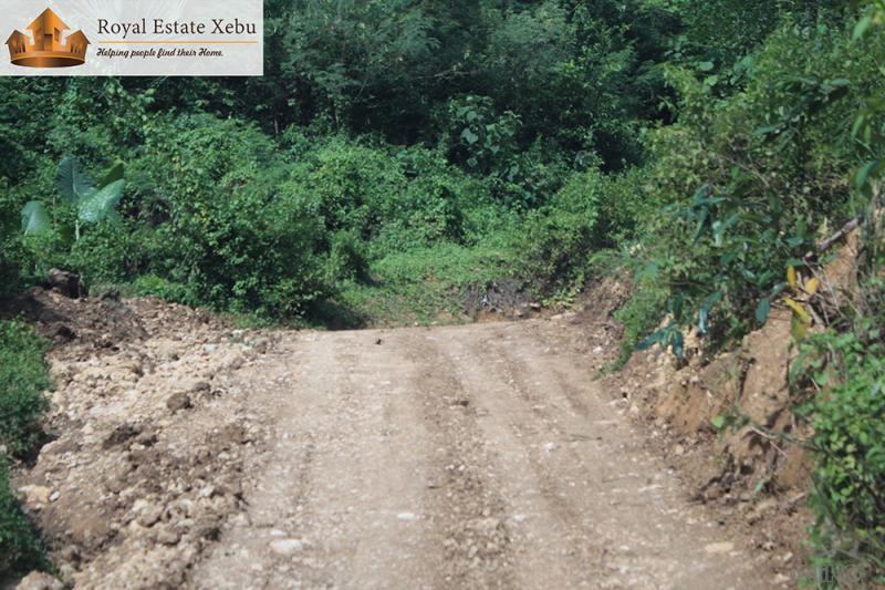 Residential Lot for sale in Compostela in Philippines
