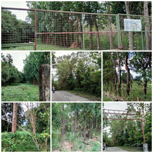 Land and Farm for sale in San Jose in Philippines