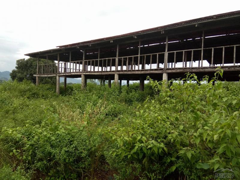 Land and Farm for sale in San Jose in Philippines