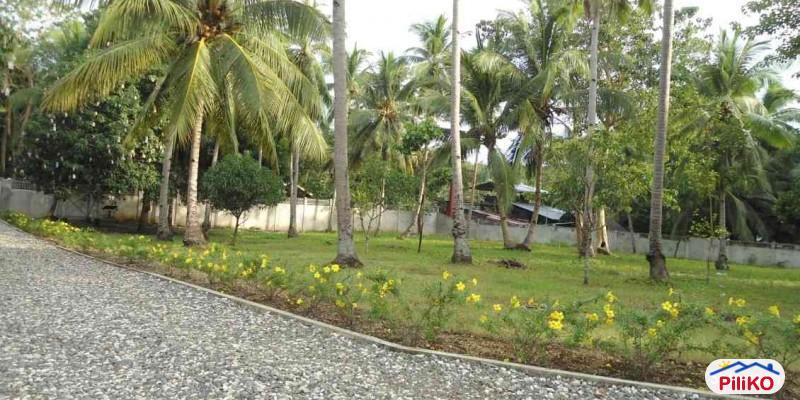Picture of Residential Lot for sale in Cebu City in Cebu