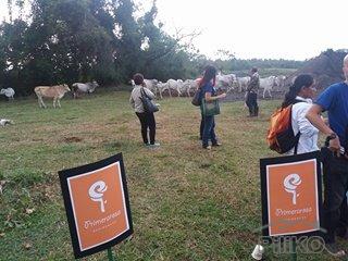 Picture of 2 bedroom House and Lot for sale in Santo Tomas in Batangas